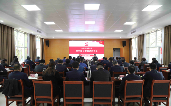 大小单双平台网址召开党史学习教育动员大会