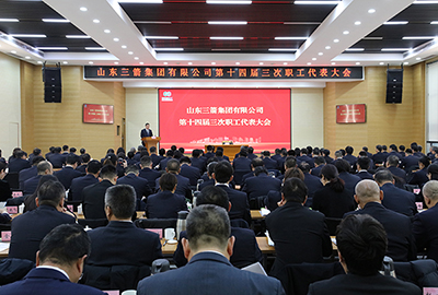 大小单双平台网址召开第十四届职工代表大会第三次会议